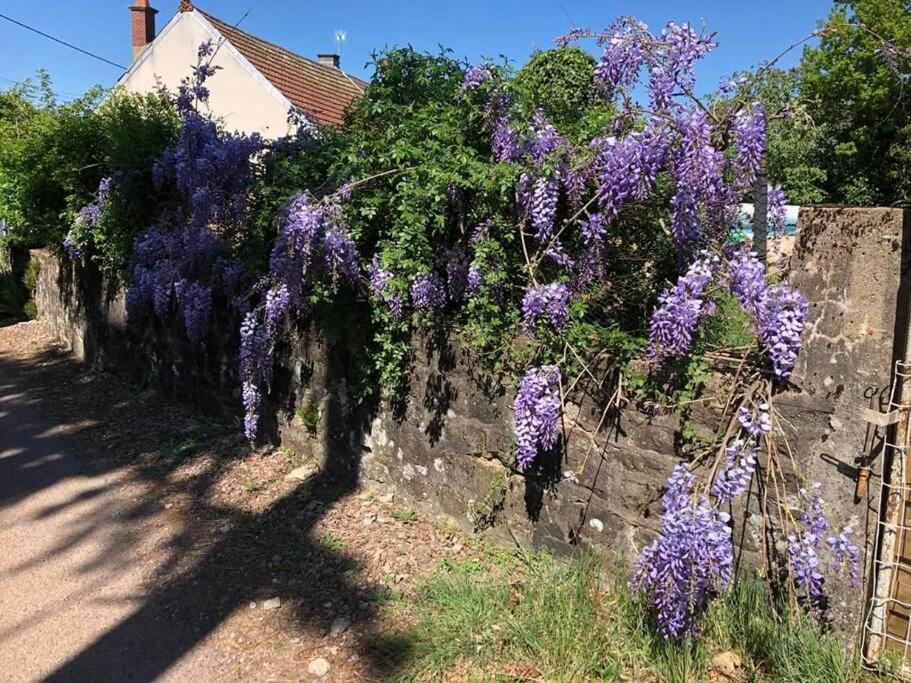 La Petite Maison D'Orphee Marmagne  外观 照片